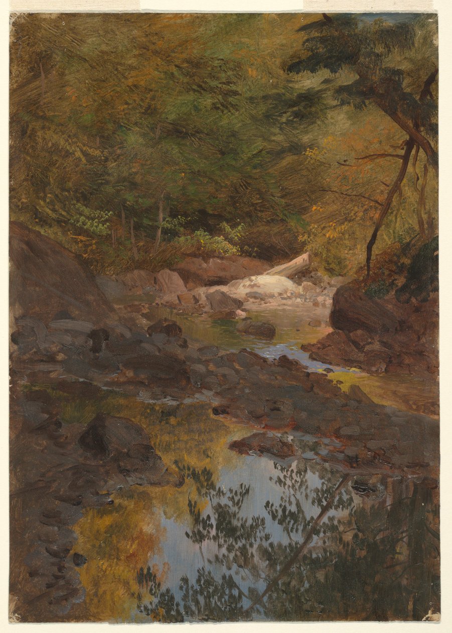 Piirros, Uuden Englannin metsissä, 1855-65 tekijältä Frederic Edwin Church
