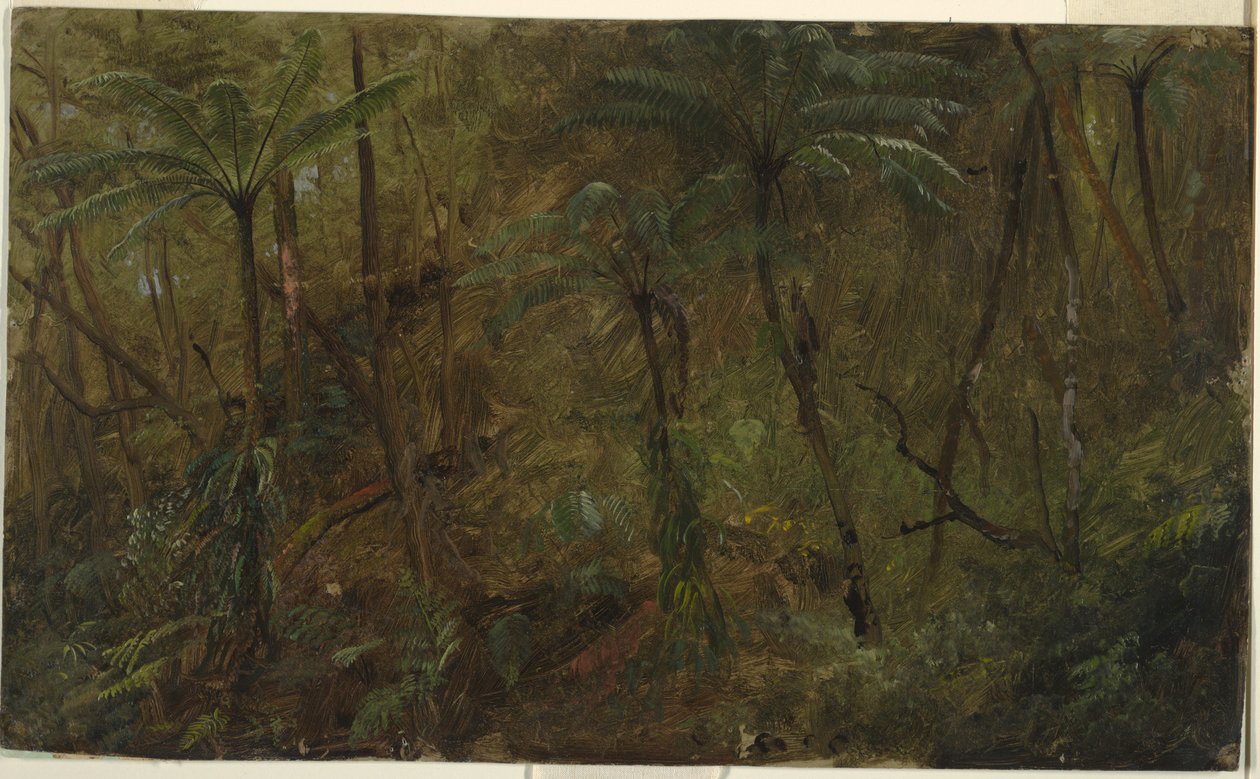 Piirros, Jamacian metsässä, Länsi-Intia, 1865. tekijältä Frederic Edwin Church