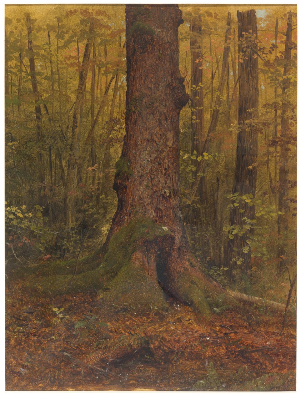Piirros, Metsässä, luultavasti Maine, 1850-60. tekijältä Frederic Edwin Church