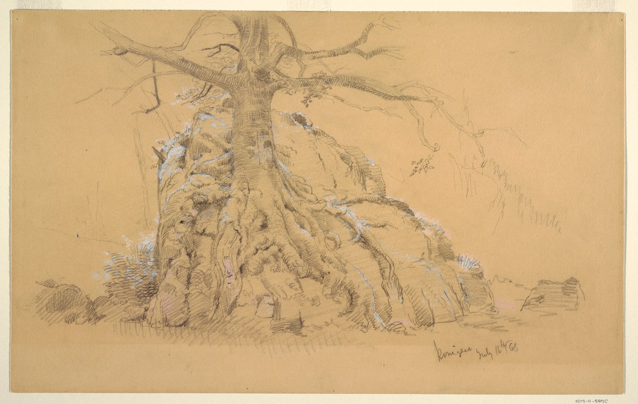 Piirros, Königssee Tree, 16. heinäkuuta 1868. tekijältä Frederic Edwin Church