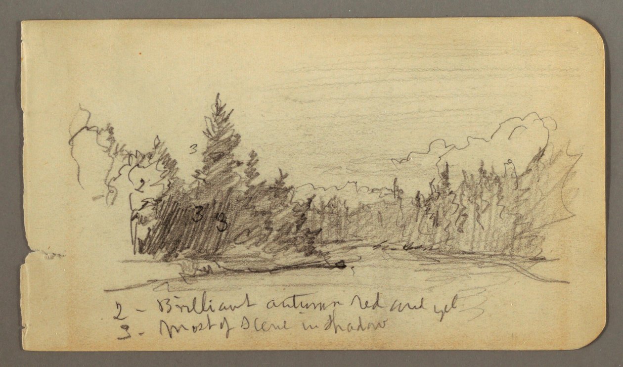 Piirros, puiden ympäröimä järvi, mahdollisesti 1878 tekijältä Frederic Edwin Church