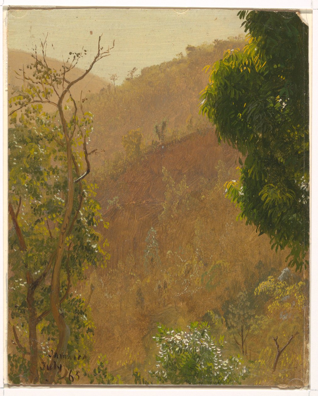 Piirros, maisema, heinäkuu 1865 tekijältä Frederic Edwin Church