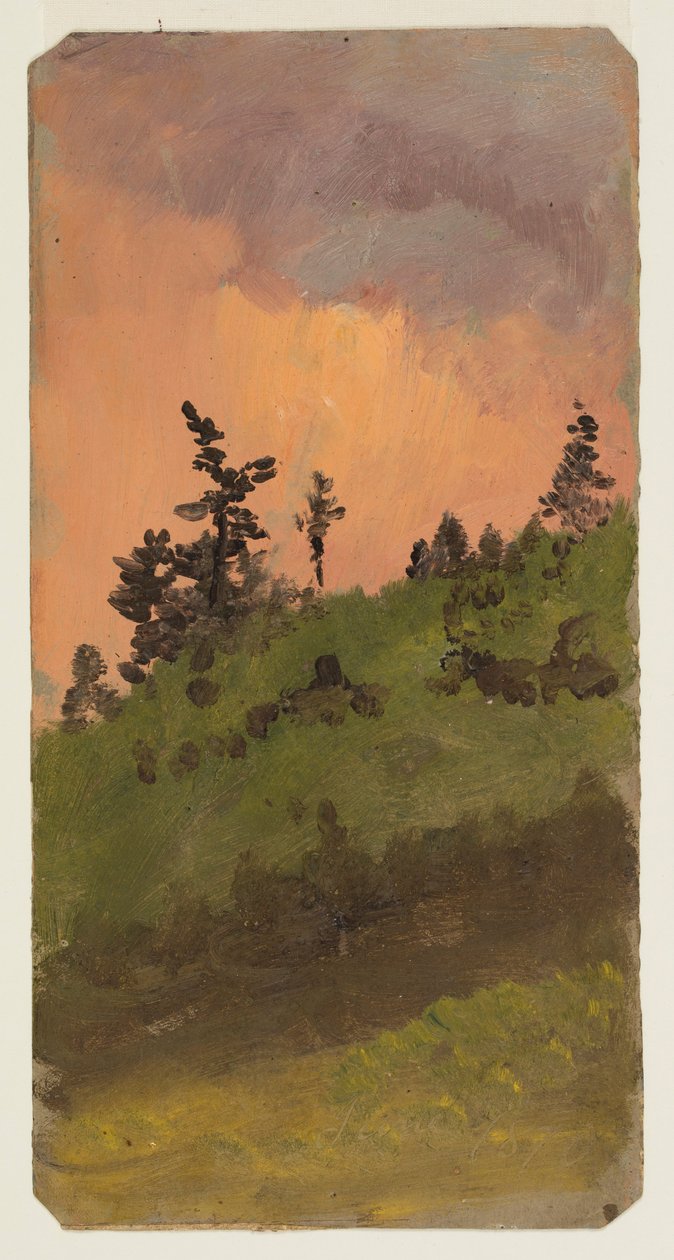 Piirros, Maisema metsässä, kesäkuu 1870 tekijältä Frederic Edwin Church