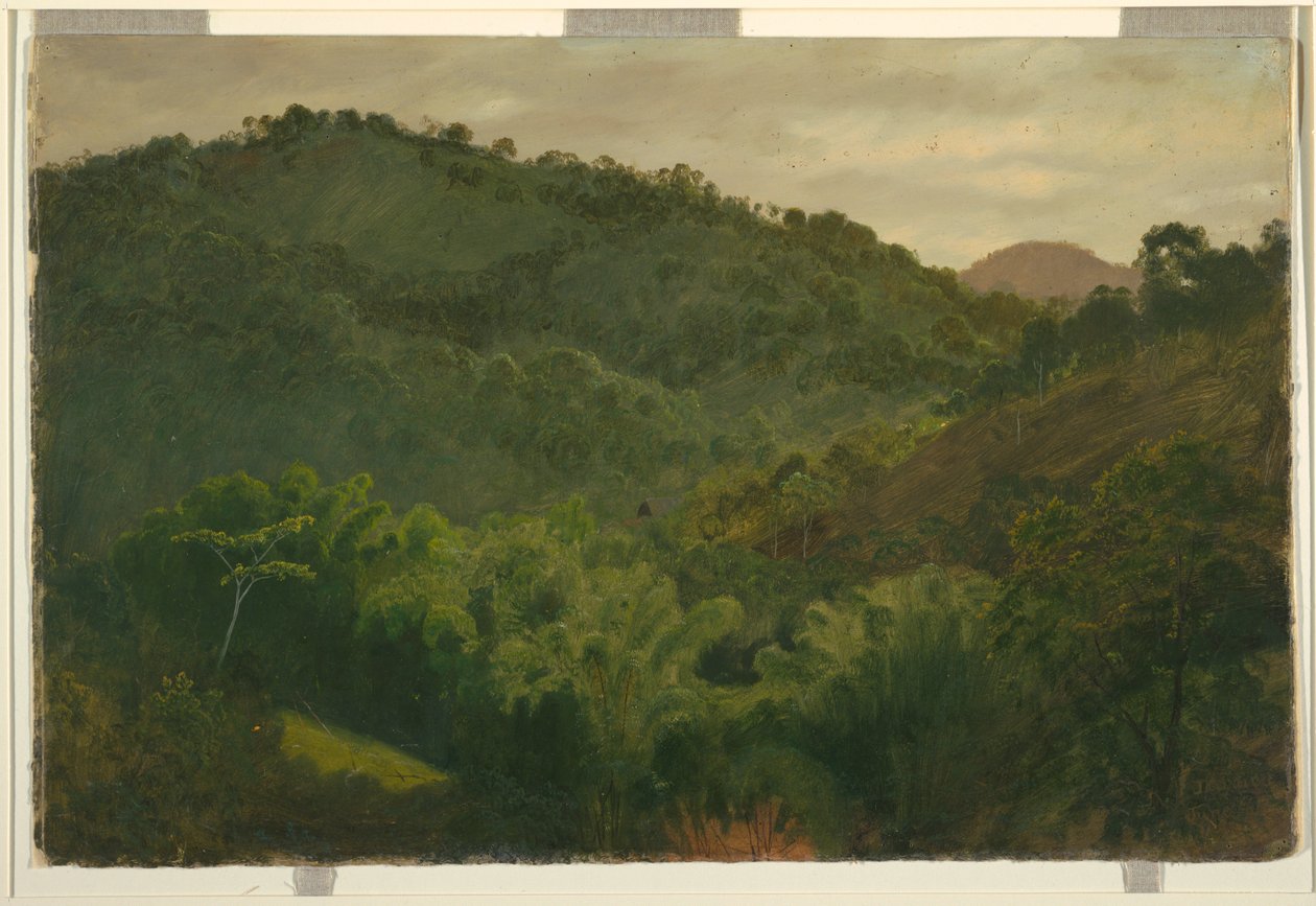 Piirros, Maisema Jamaikalta, Länsi-Intia, 1865 tekijältä Frederic Edwin Church