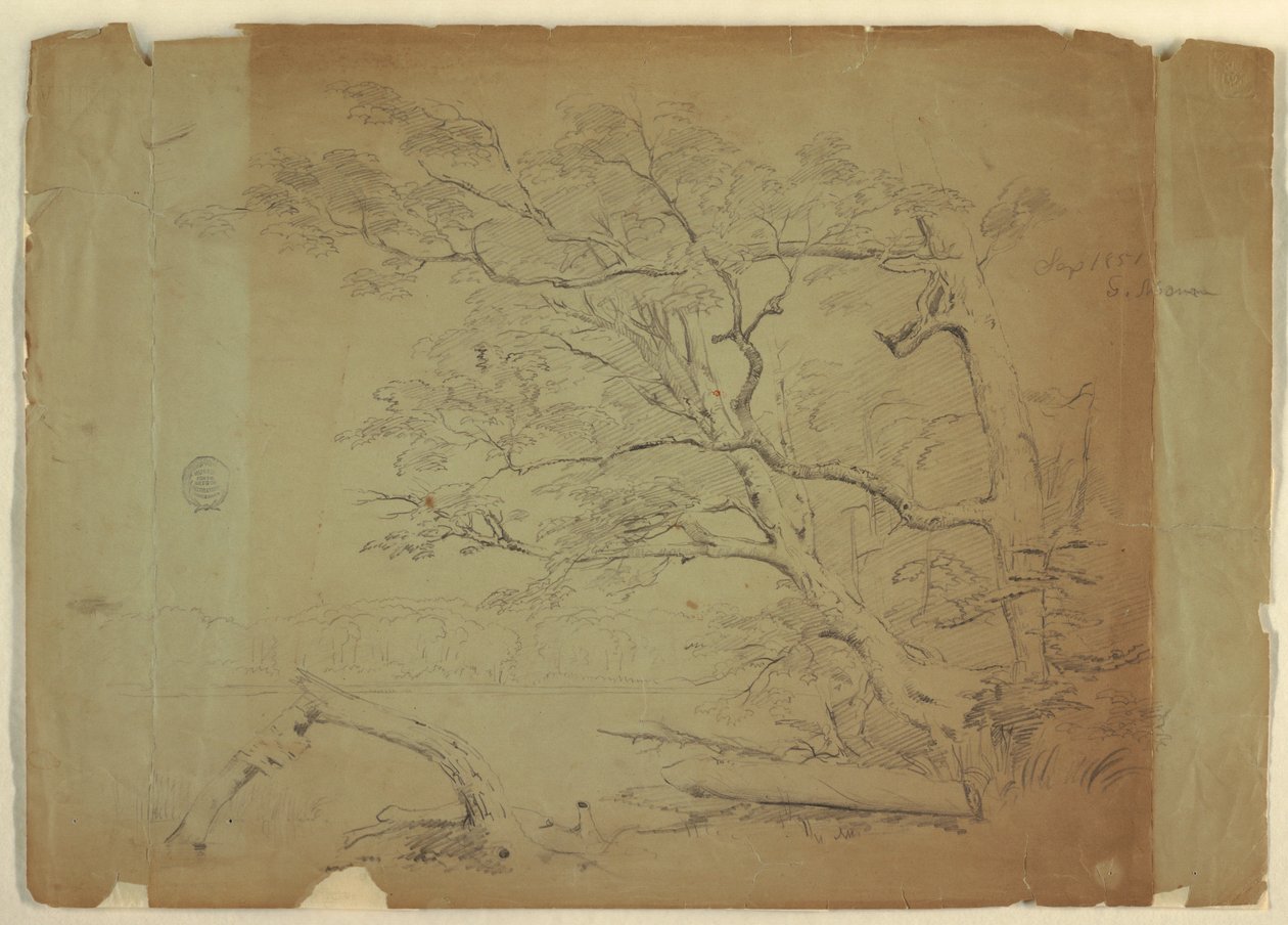 Piirros, Maisema, jossa on puita ja puro [], Grand Mananin saari, Kanada, syyskuu 1851. tekijältä Frederic Edwin Church