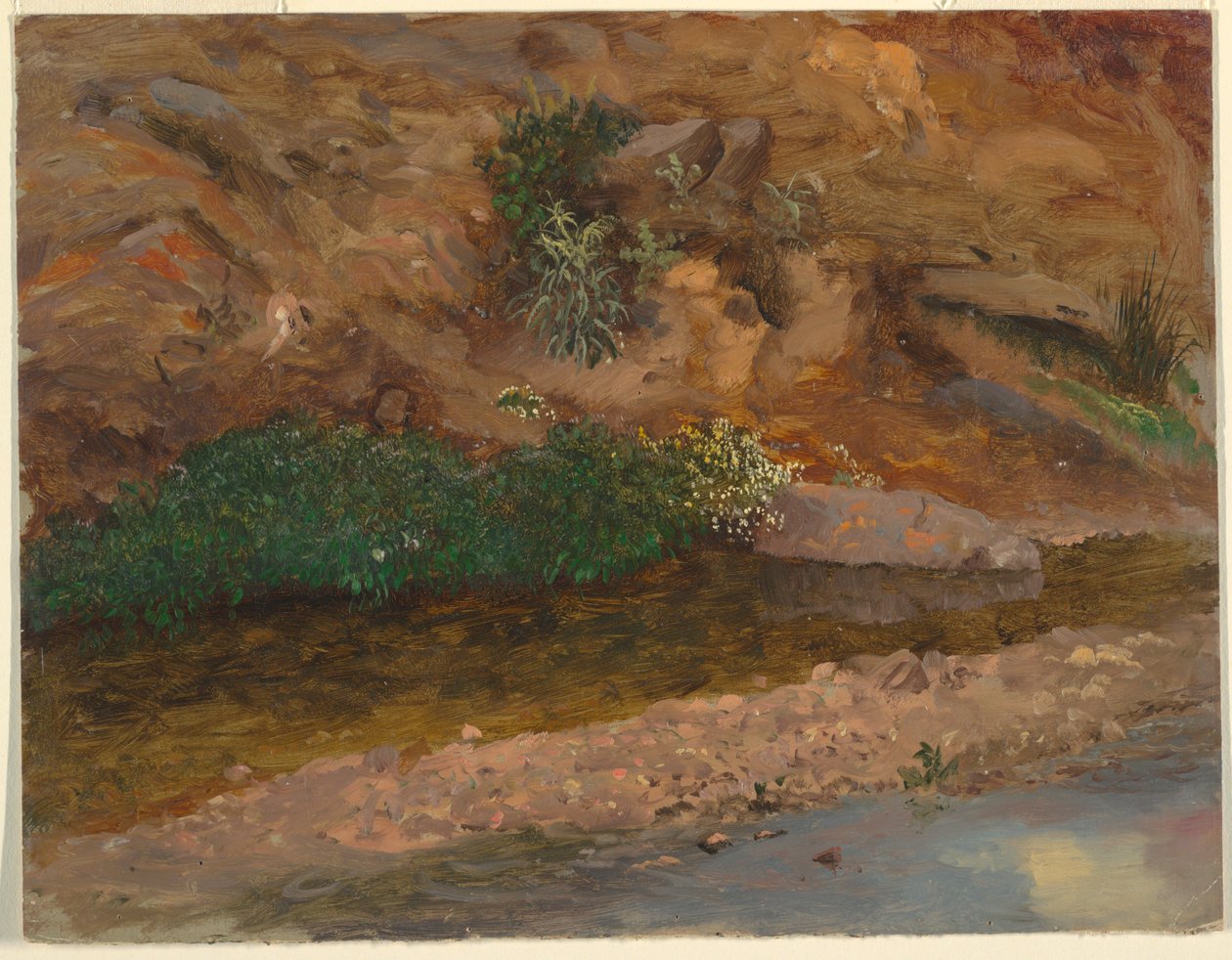 Piirros, Puron reuna, 1860-70 tekijältä Frederic Edwin Church