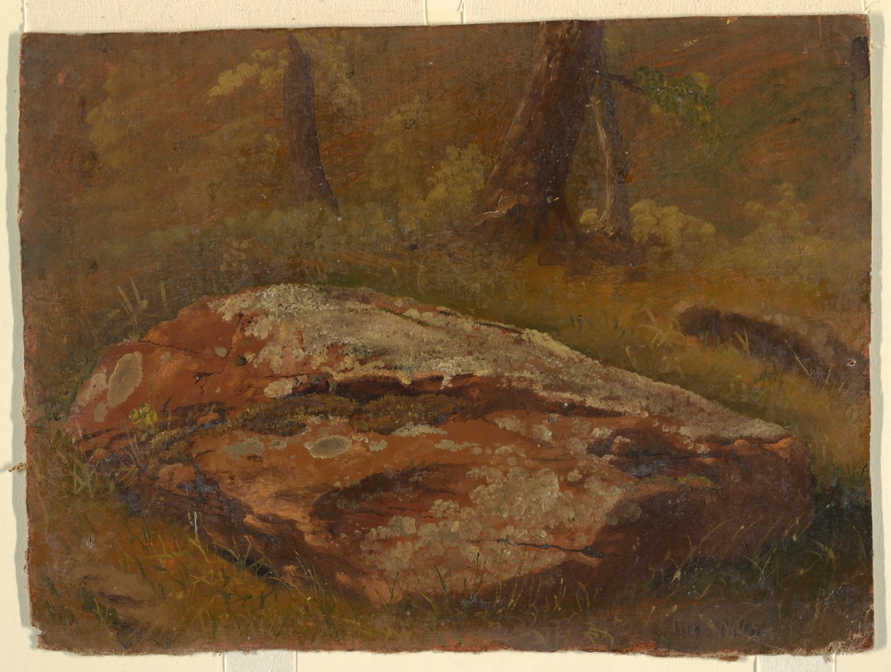 Piirros, Mossy Rock, elokuu 1845 tekijältä Frederic Edwin Church