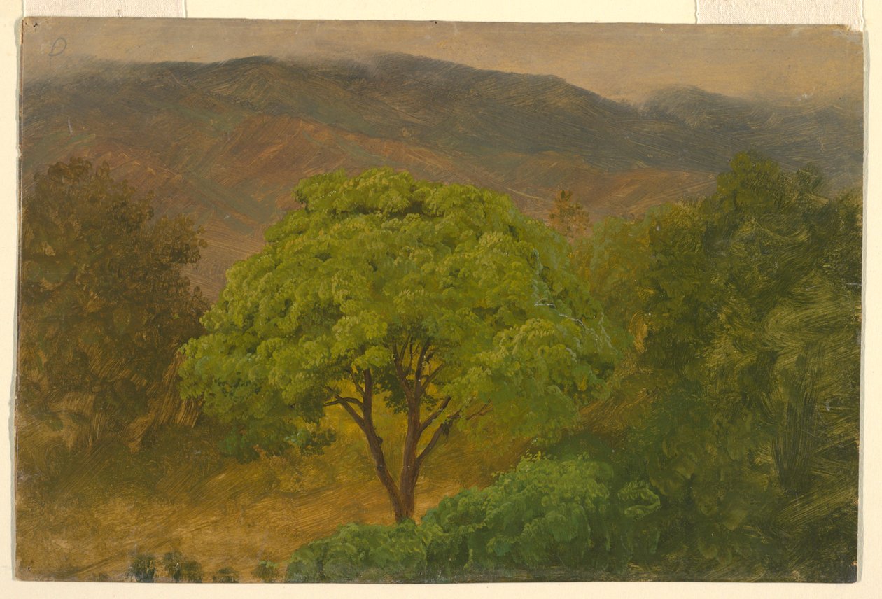 Piirros, vuoristomaisema, elokuu 1865 tekijältä Frederic Edwin Church