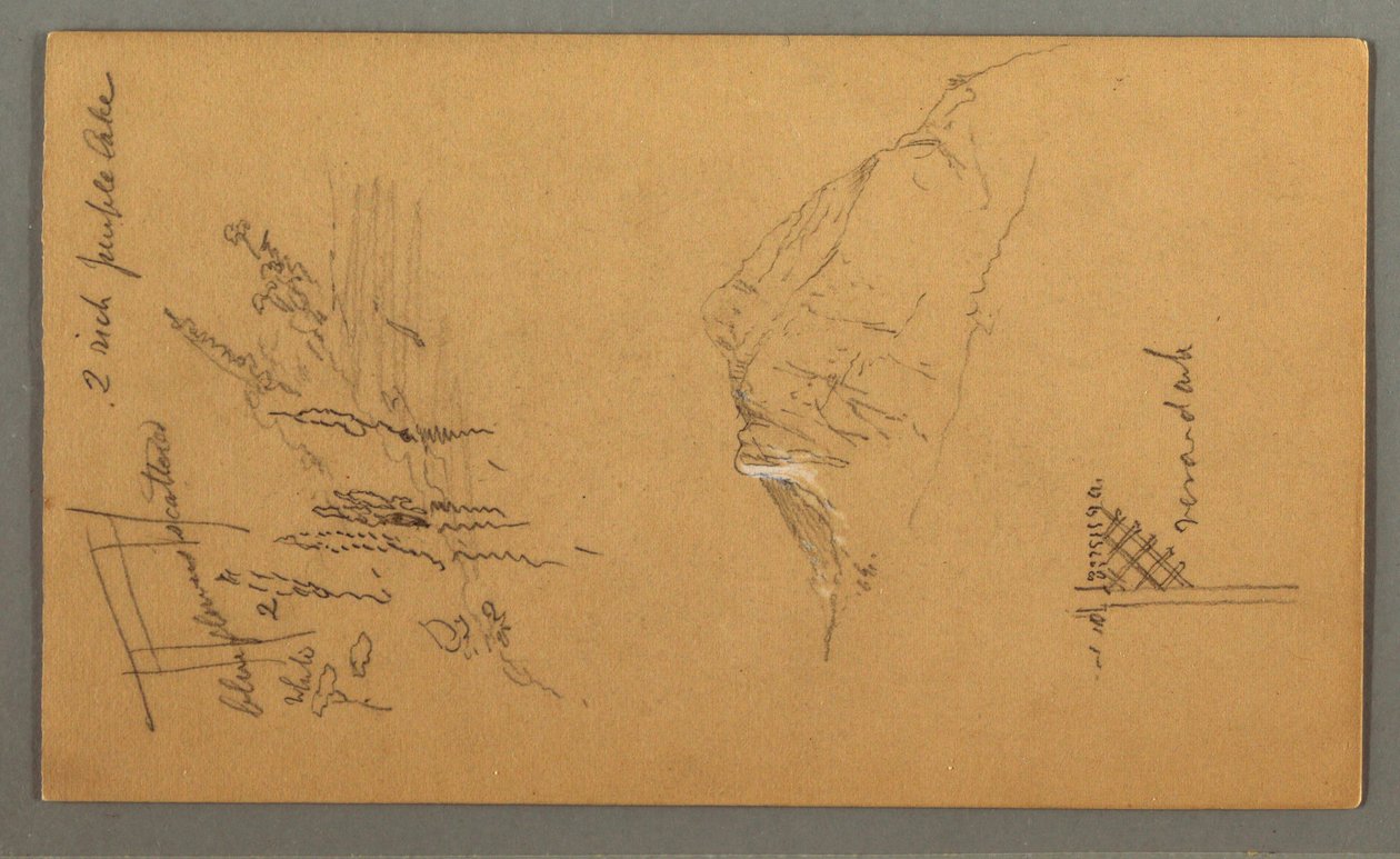 Piirros, vuorenhuippu, kasvillisuus uima-altaalla, 1868 tekijältä Frederic Edwin Church