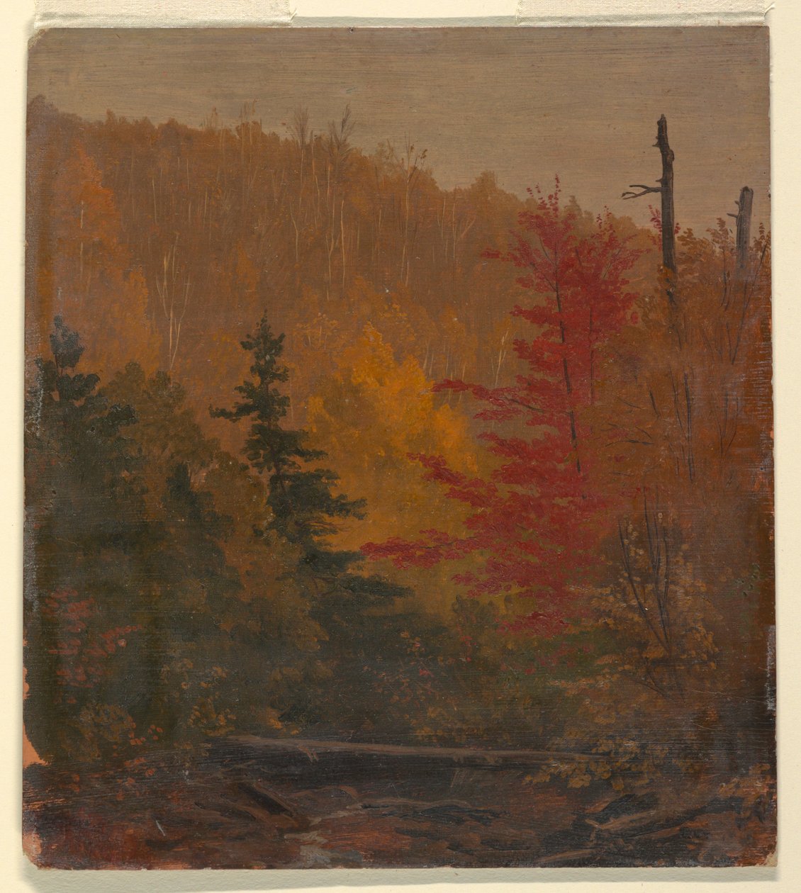 Piirros, luultavasti Katahdinin lähellä, syksy 1865-70. tekijältä Frederic Edwin Church