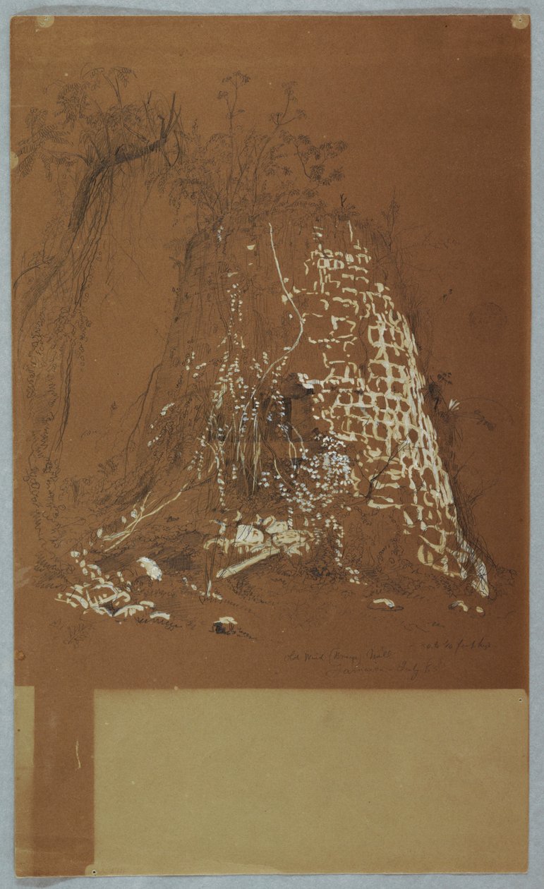 Piirros, raunioitunut vanha tuulimylly, Jamaika, heinäkuu 1865. tekijältä Frederic Edwin Church