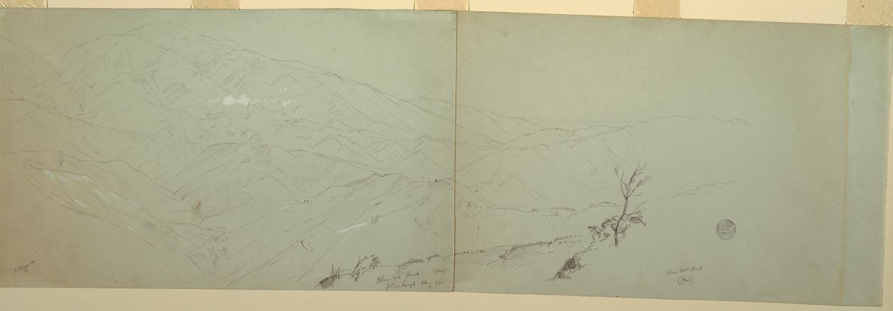 Piirustus, luonnoksia, Bloxburgh, Jamaika, 1865 tekijältä Frederic Edwin Church