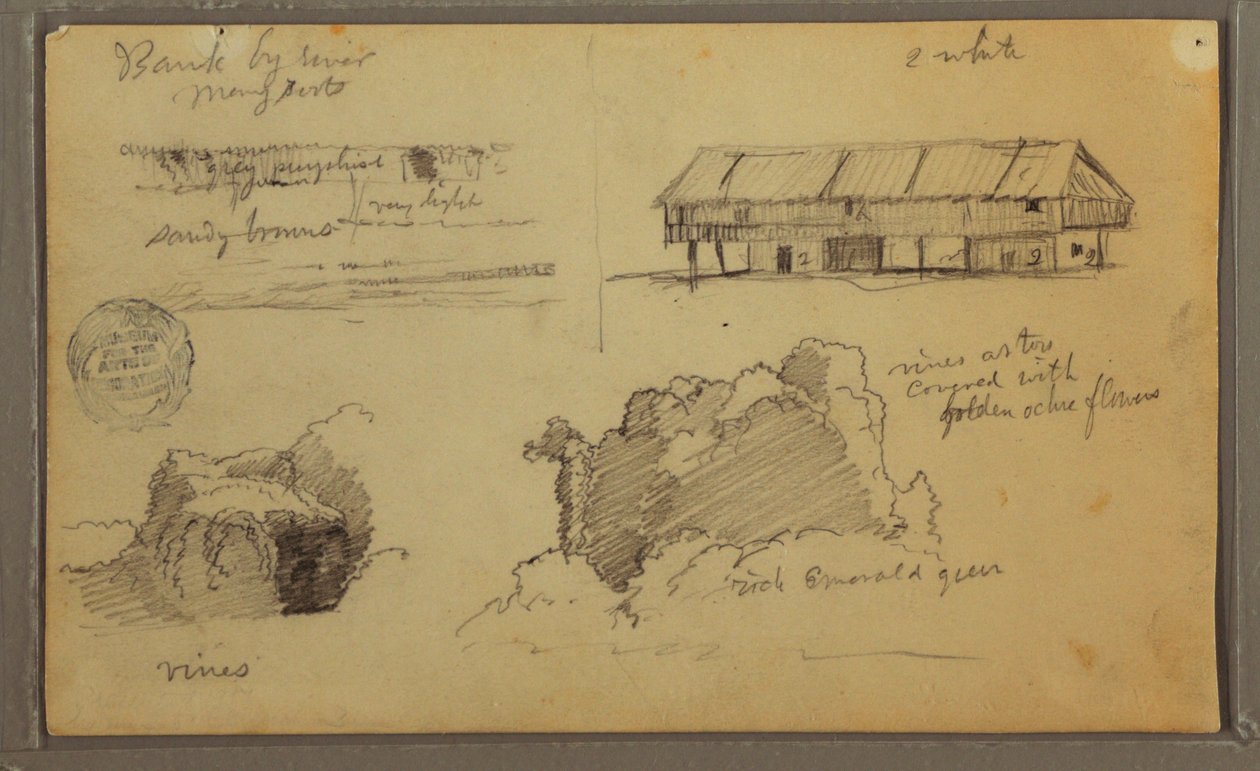 Piirros, Luonnoksia, Ecuador tai Kolumbia; Kääntöpuoli: Luonnoksia, Ecuador tai Kolumbia, 1857. tekijältä Frederic Edwin Church