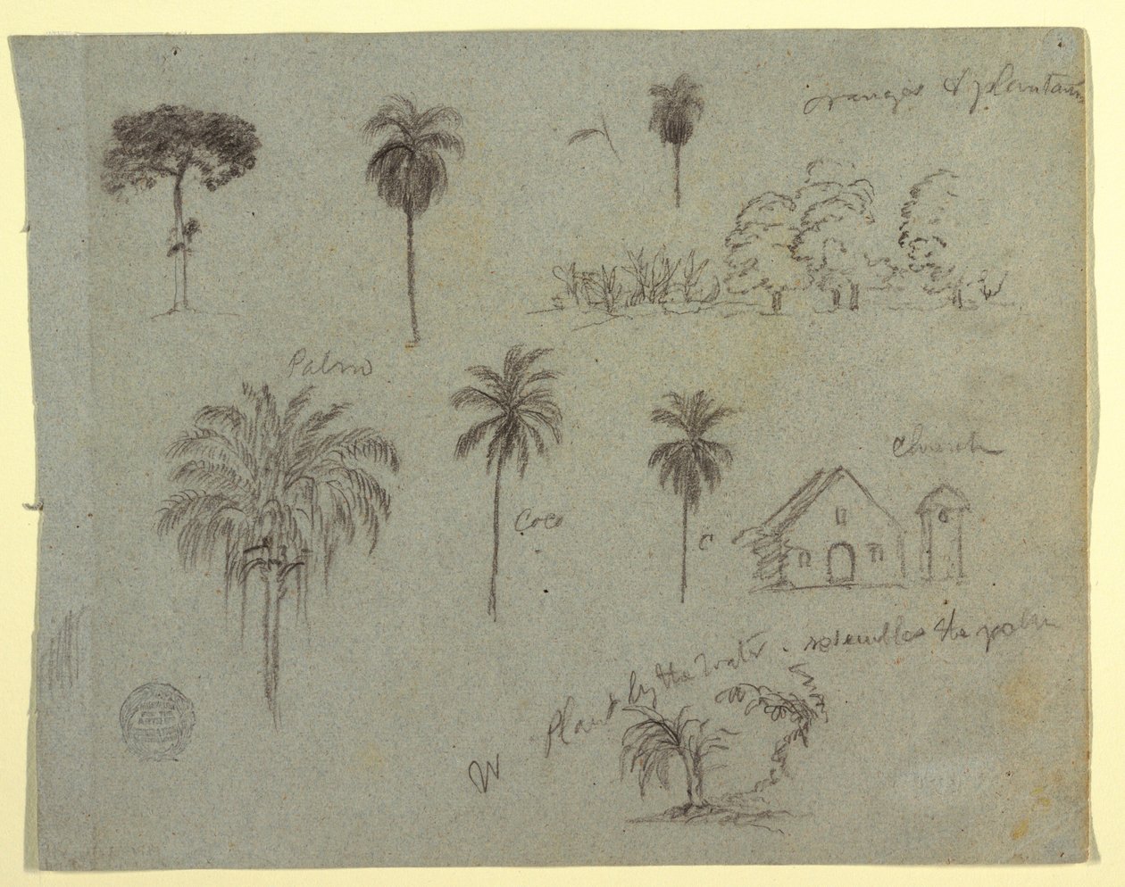 Piirustus, Luonnoksia Rio Magdalene -joelta, Kolumbia:  Kasvitieteellisiä tutkimuksia ja kirkko, toukokuu 1853. tekijältä Frederic Edwin Church