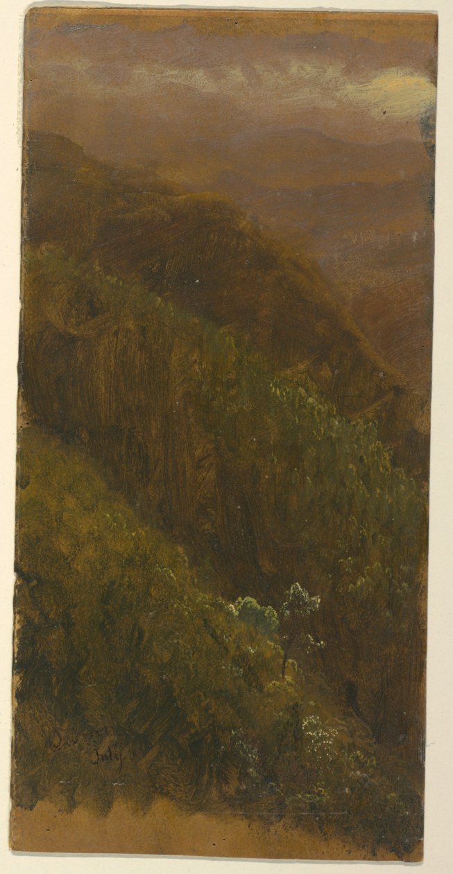 Piirros, jyrkkä rinne, heinäkuu 1865 tekijältä Frederic Edwin Church