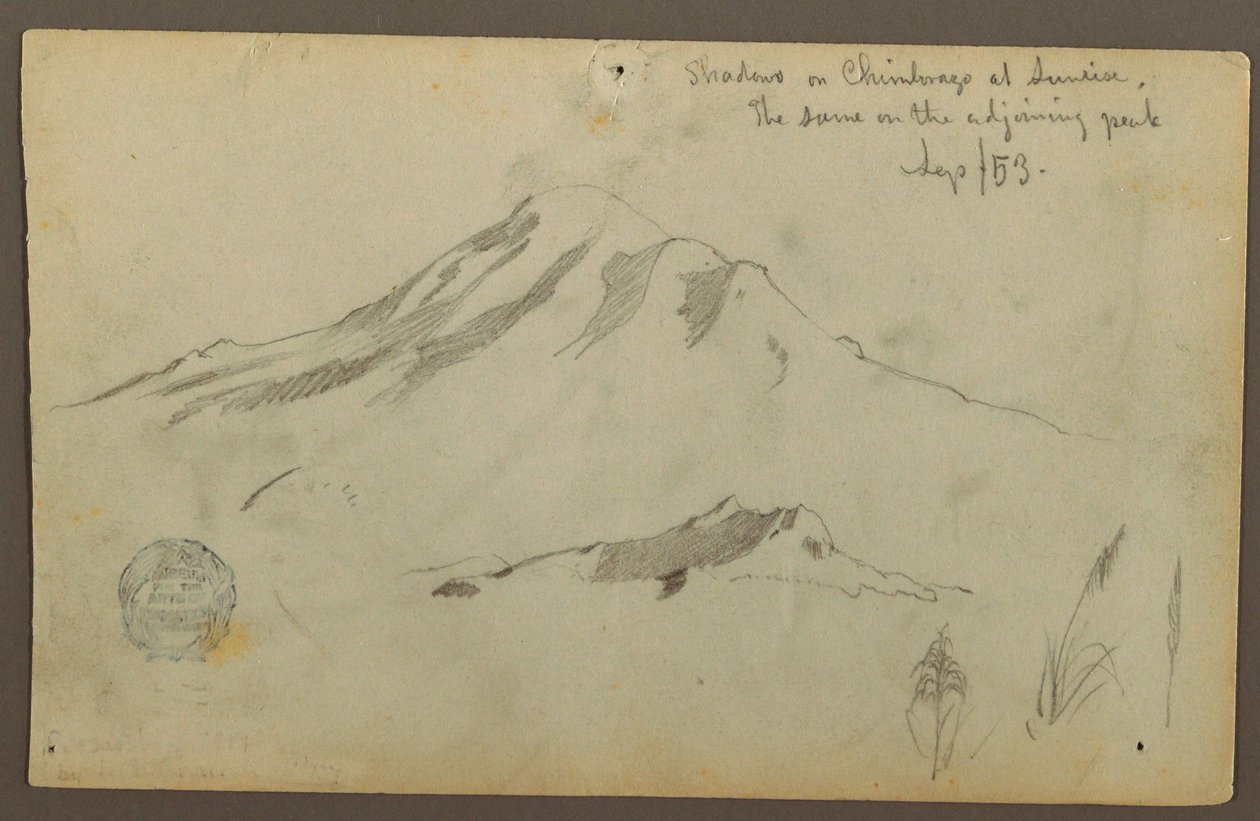 Piirros, Auringonnousu Chimborazo-vuorella ja kolme yksityiskohtaa ruohosta, syyskuu 1853. tekijältä Frederic Edwin Church