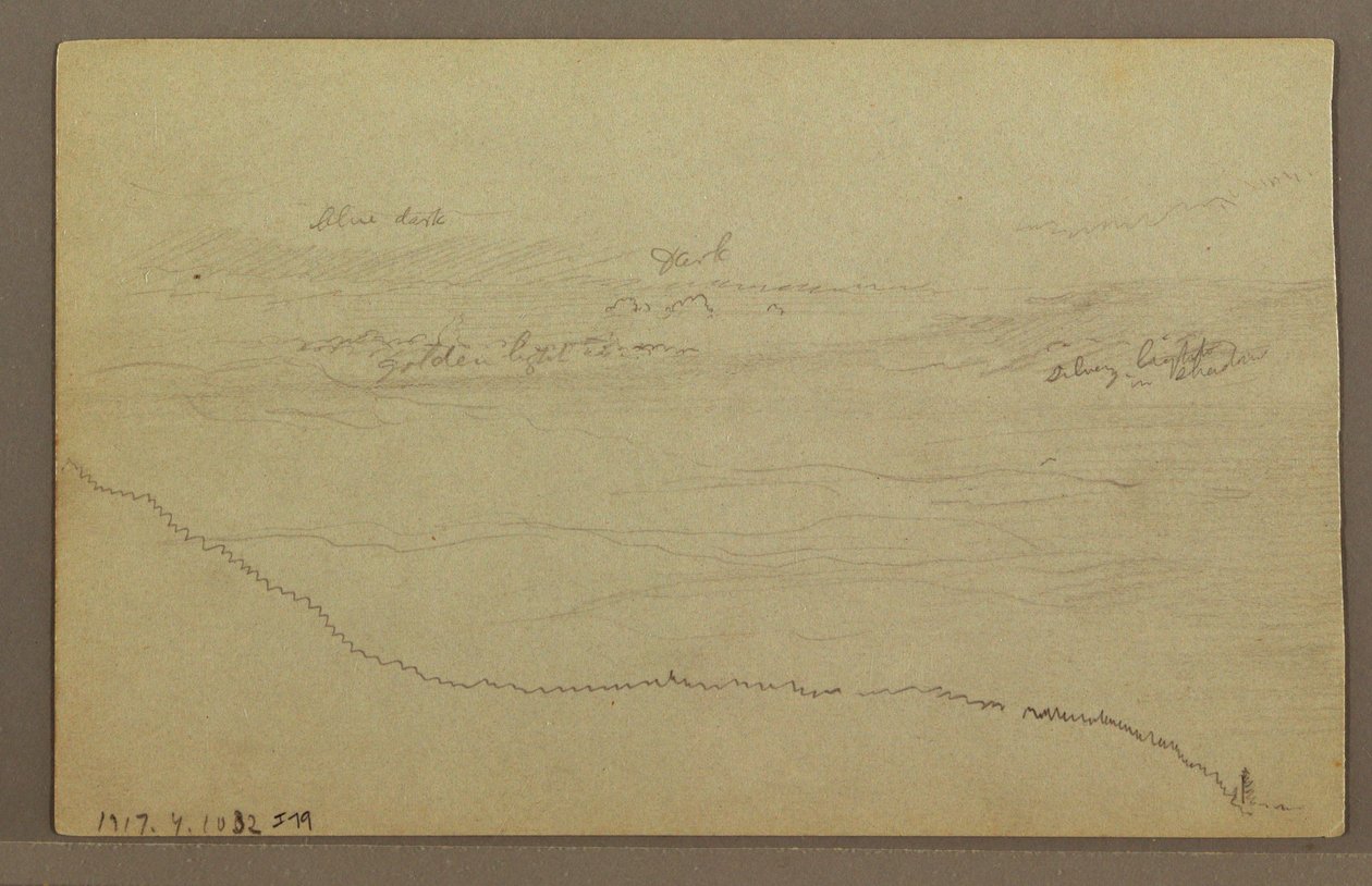 Piirros, Puut, mahdollisesti 1860-luku tekijältä Frederic Edwin Church