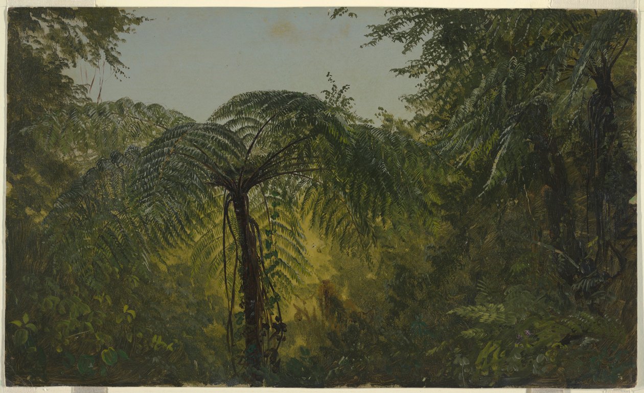 Piirros, Trooppinen maisema, kesä- tai heinäkuu 1865 tekijältä Frederic Edwin Church