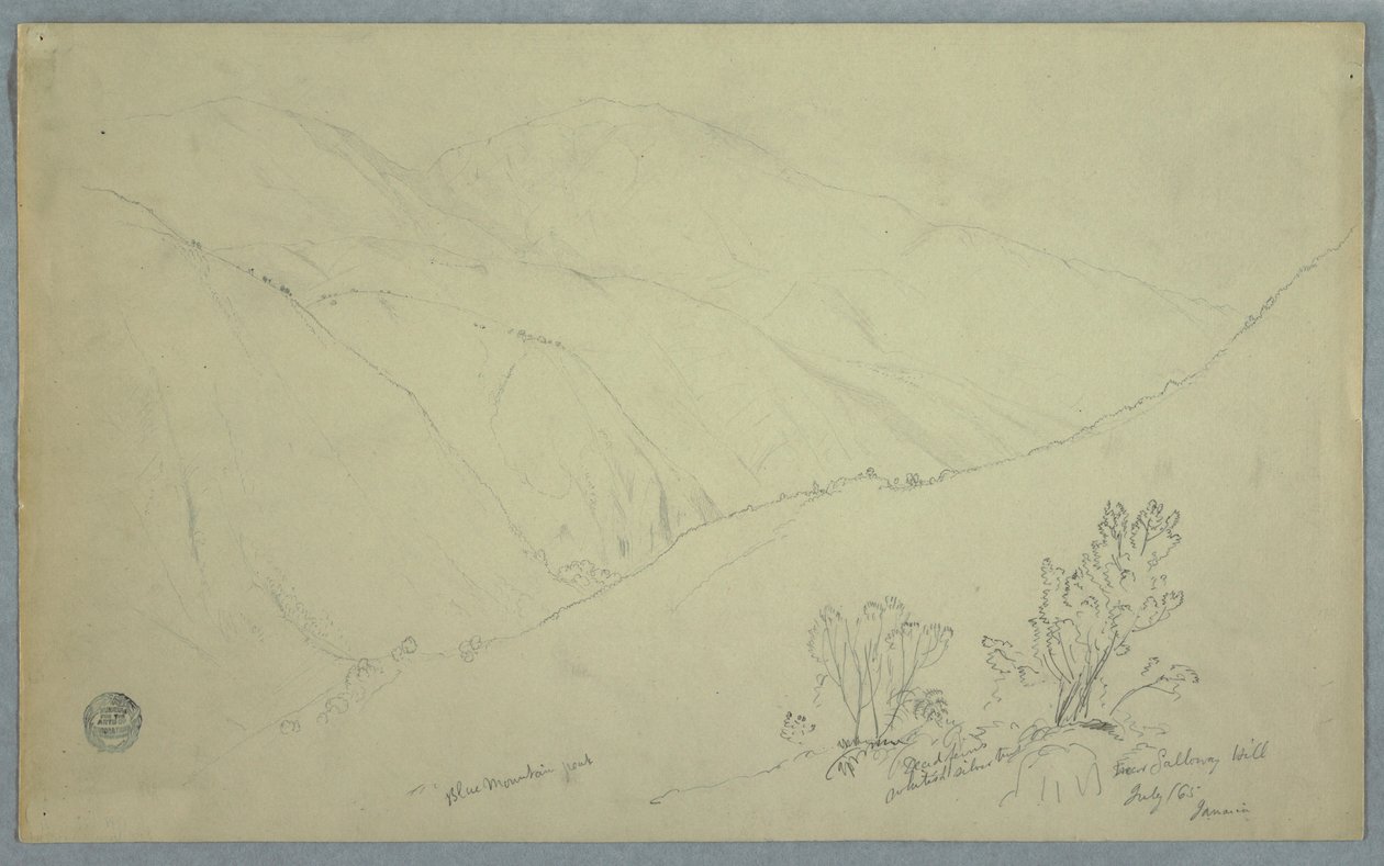 Piirros, Näkymä Blue Mountain Peakille, nähtynä Salloway Hillin läheltä, Jamaika, heinäkuu 1865. tekijältä Frederic Edwin Church