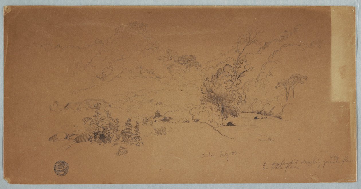 Piirros, Näkymä Tochesta, Kolumbia, heinäkuu 1853 tekijältä Frederic Edwin Church