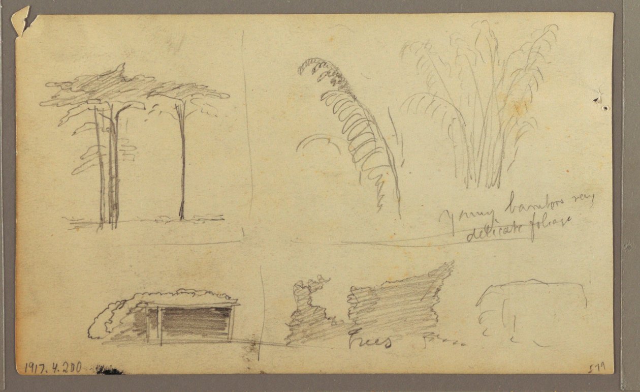 Piirros, Näkymiä Guayas-joen itärannalta, Guayaquilia vastapäätä, Ecuador, toukokuu 1857. tekijältä Frederic Edwin Church
