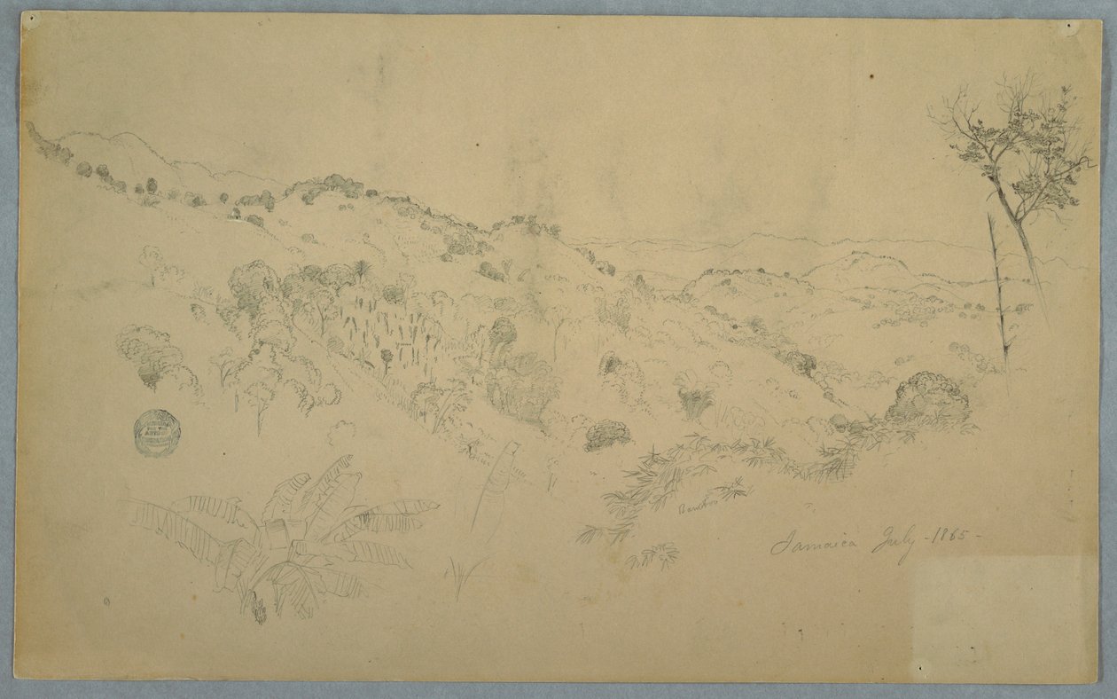 Piirros, Metsäinen laakso, jossa on suuri saniainen ja kaukaisia vuoristoja, Jamaika, heinäkuu 1865. tekijältä Frederic Edwin Church