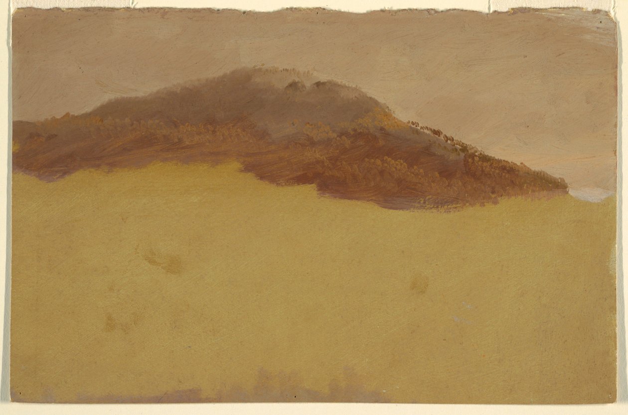 Piirros, Metsäinen rinne, 1870-80 tekijältä Frederic Edwin Church