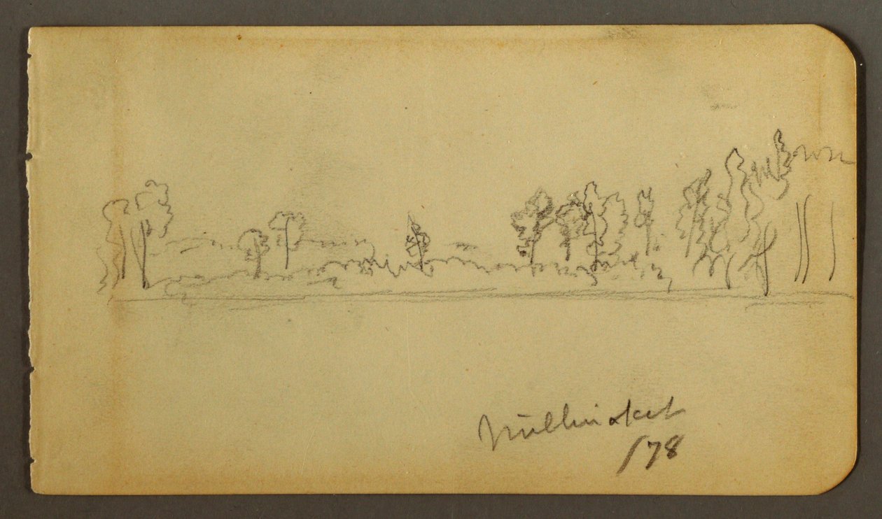 Piirros, Metsäinen ranta, 1878 tekijältä Frederic Edwin Church