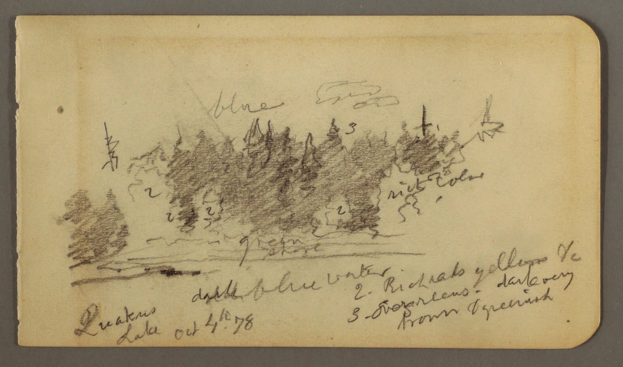 Piirros, Metsäinen ranta, 1878 tekijältä Frederic Edwin Church