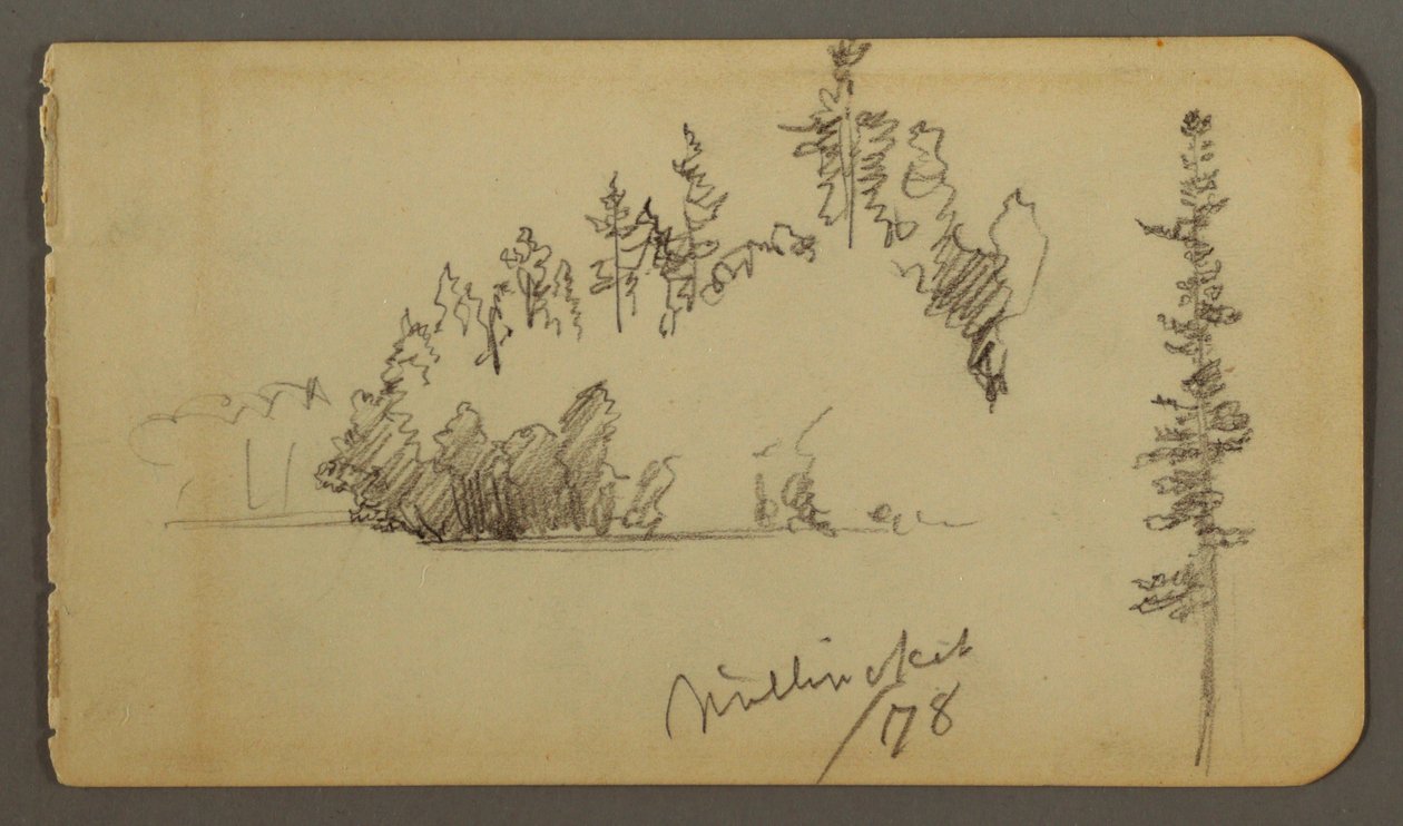 Piirros, Metsäinen ranta, puustotutkimus, 1878 tekijältä Frederic Edwin Church