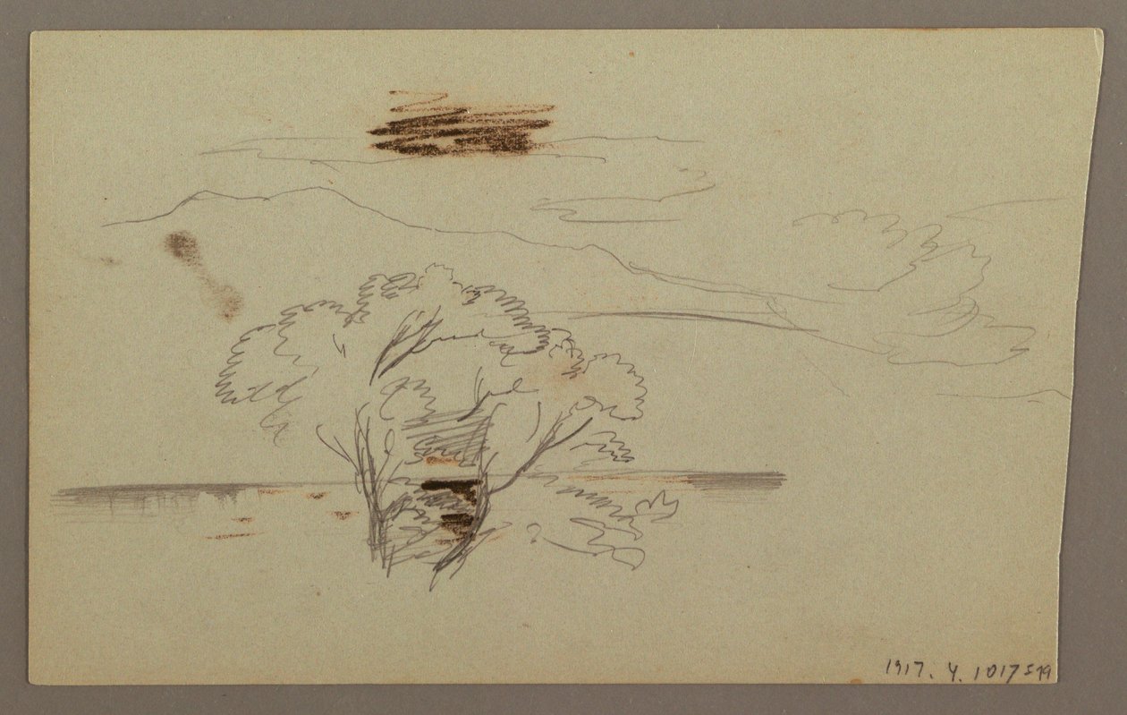 Piirros, Metsäinen rinne, Hill country, 1863 tekijältä Frederic Edwin Church