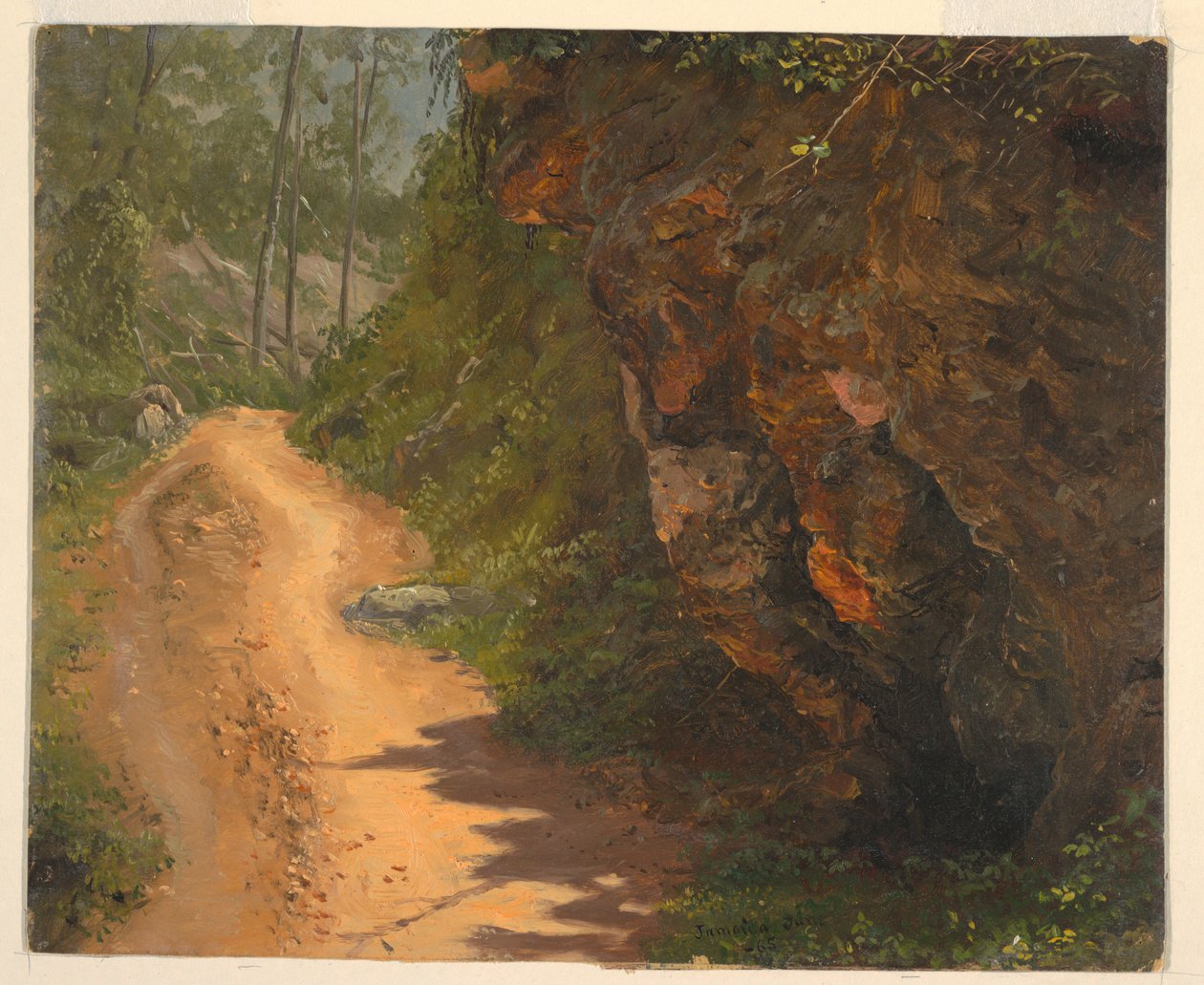Piirros, Woodland Path, Jamaika, kesäkuu 1865. tekijältä Frederic Edwin Church