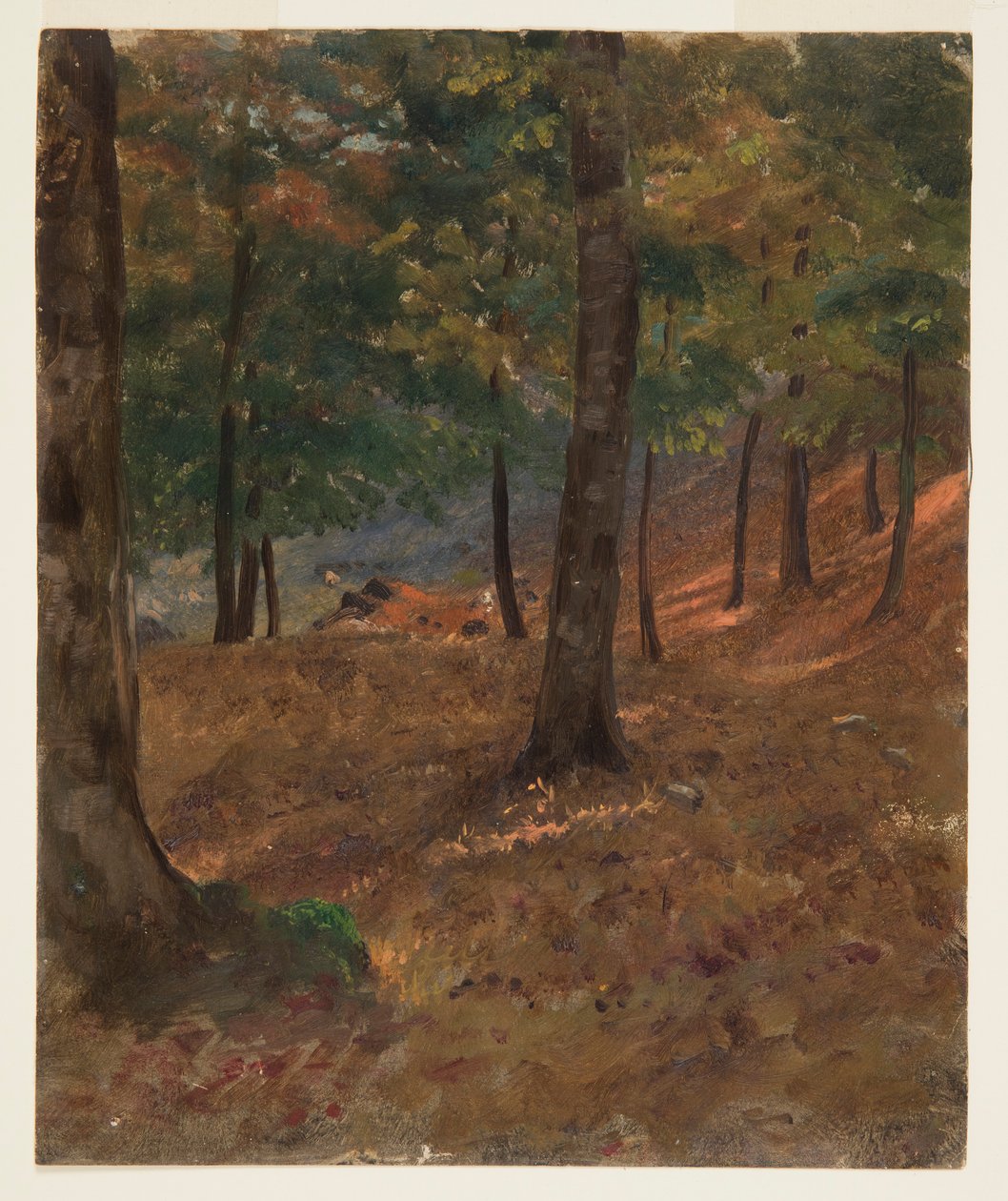 Piirros, metsäkuva, 1870-80 tekijältä Frederic Edwin Church