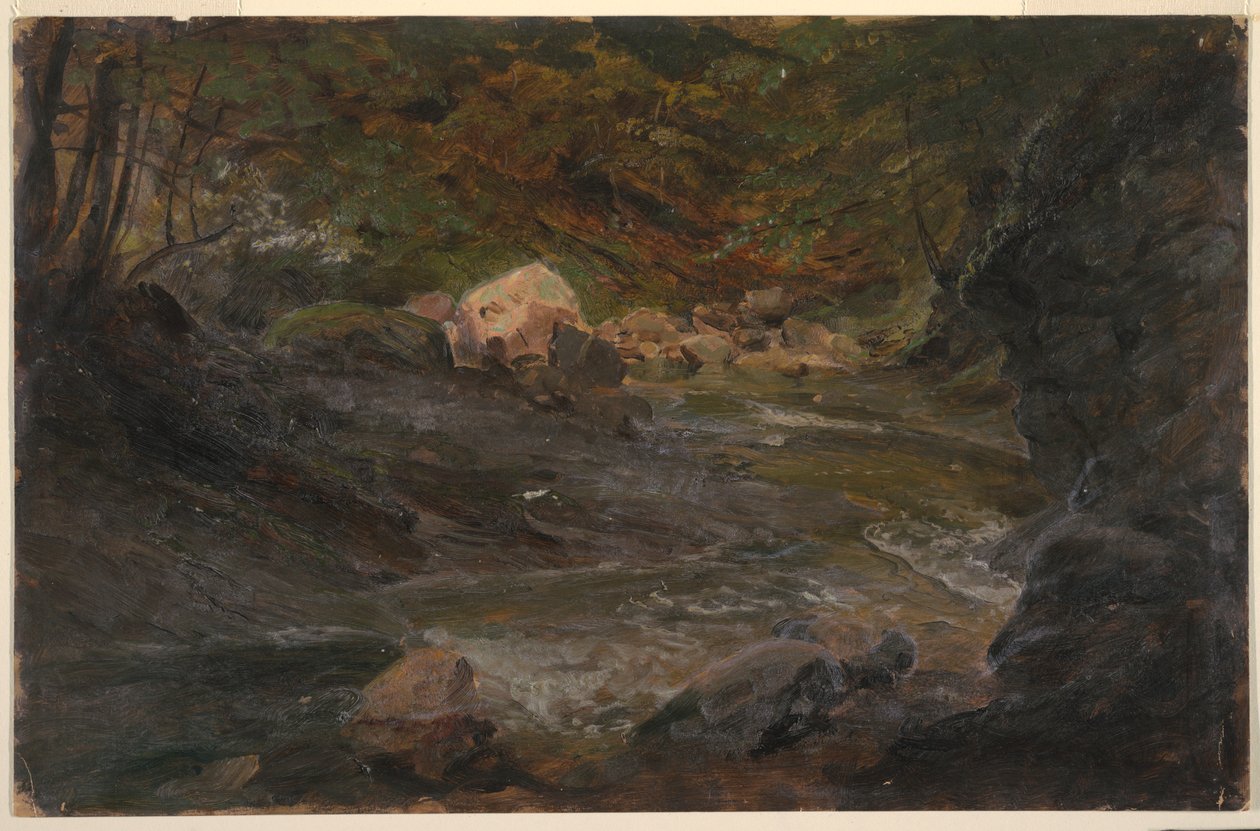 Piirustus, Metsäpuro, 1850-60 tekijältä Frederic Edwin Church