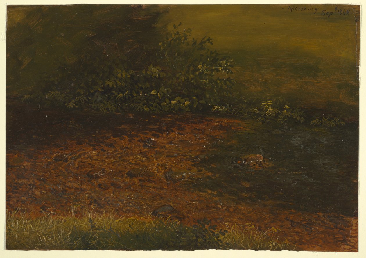 Piirros, Metsäpuro Catskillsissä, syyskuu 1848. tekijältä Frederic Edwin Church