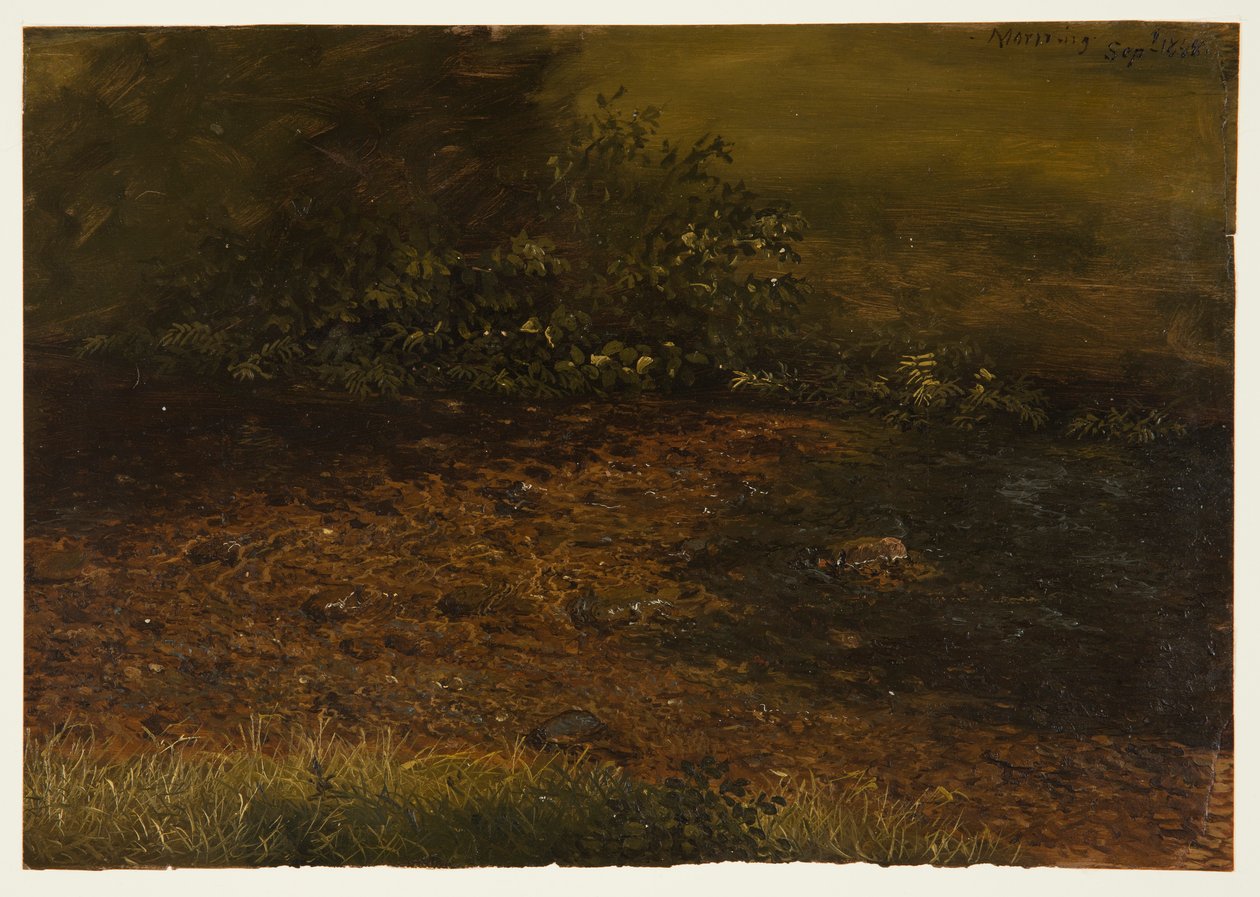 Piirros, Metsäpuro Catskillsissä, syyskuu 1848. tekijältä Frederic Edwin Church