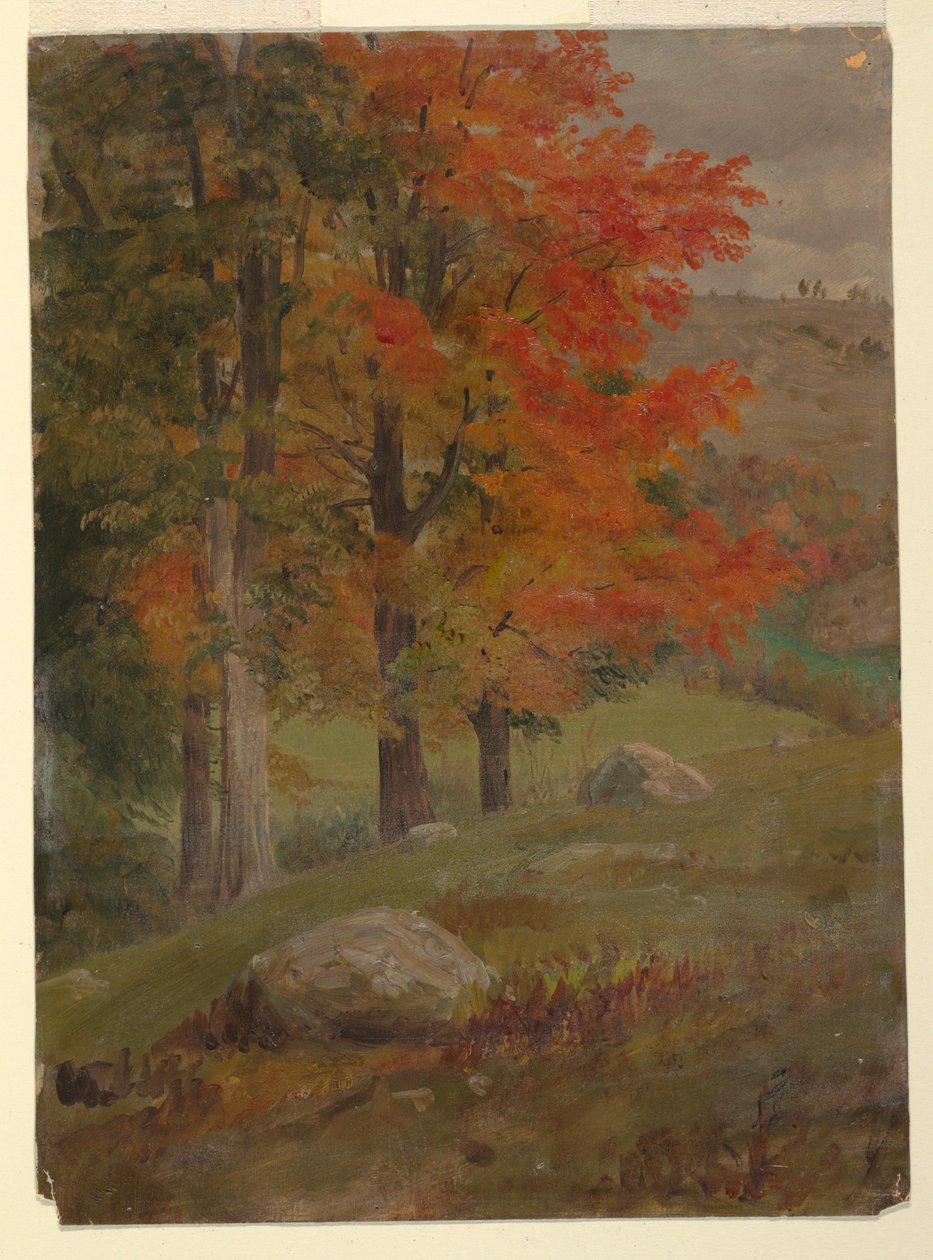 Piirros, Metsä syksyllä, 1865 tekijältä Frederic Edwin Church