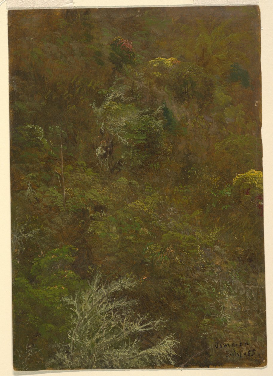 Hillside puita, Jamaika tekijältä Frederic Edwin Church