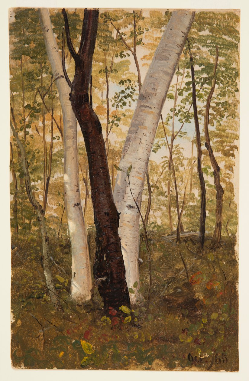 Woodsissa, Hudsonissa, New Yorkissa tekijältä Frederic Edwin Church