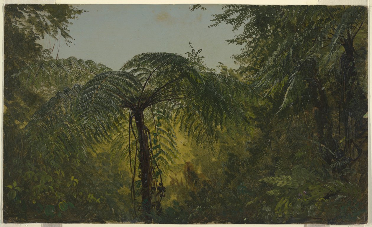 Jungle Foliage, Jamaika tekijältä Frederic Edwin Church