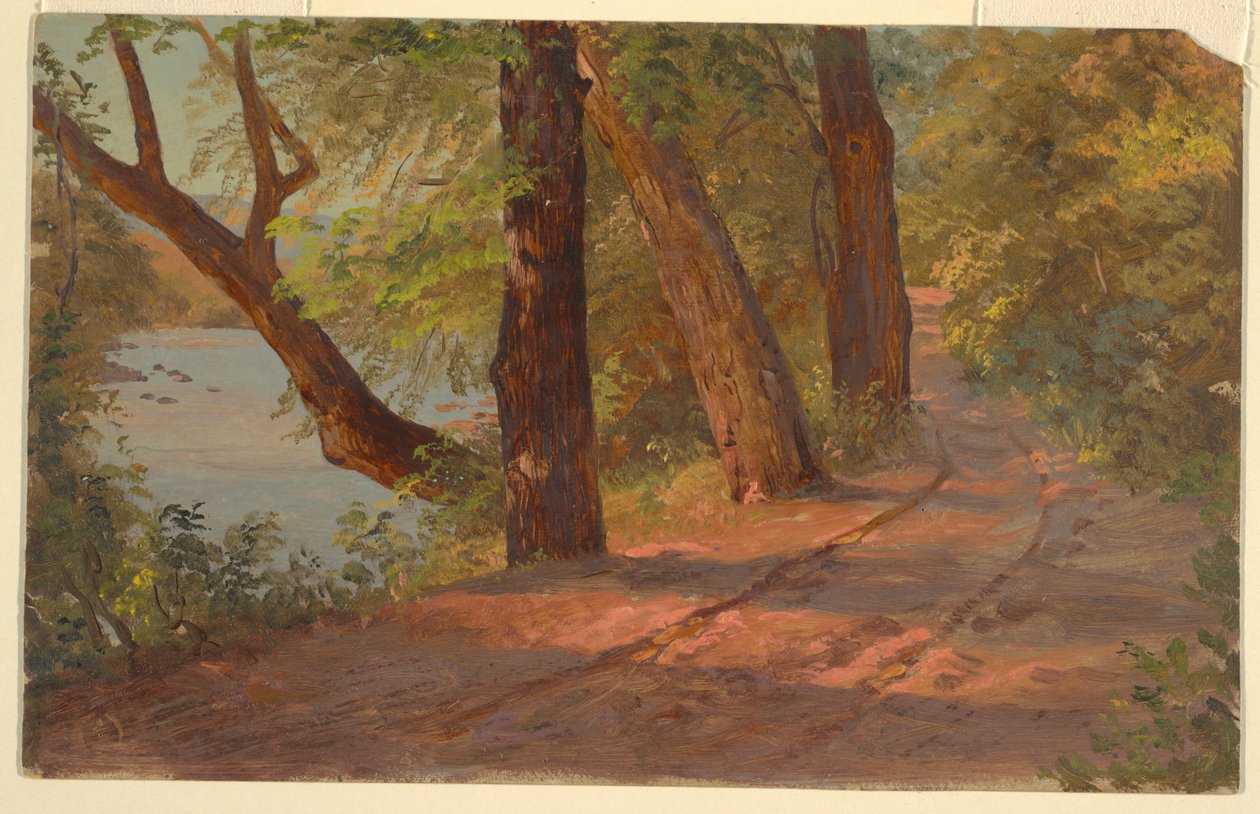 Maisema Pohjois-Amerikasta (tie järven rannalla) tekijältä Frederic Edwin Church