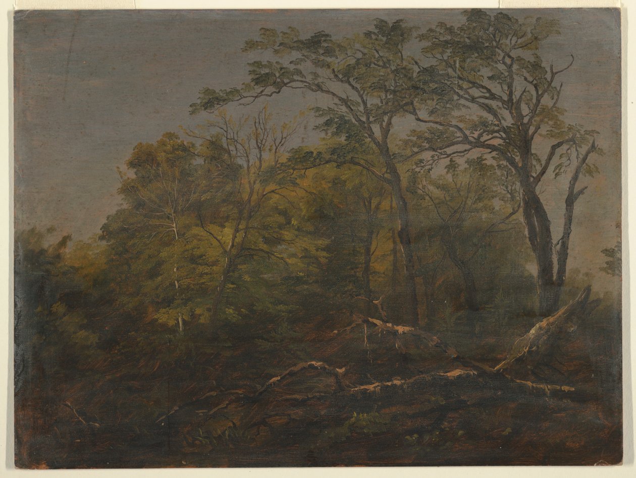 Maine Woods tekijältä Frederic Edwin Church
