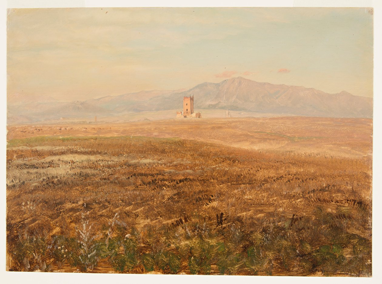 Paisatge mexicà finlandès tekijältä Frederic Edwin Church