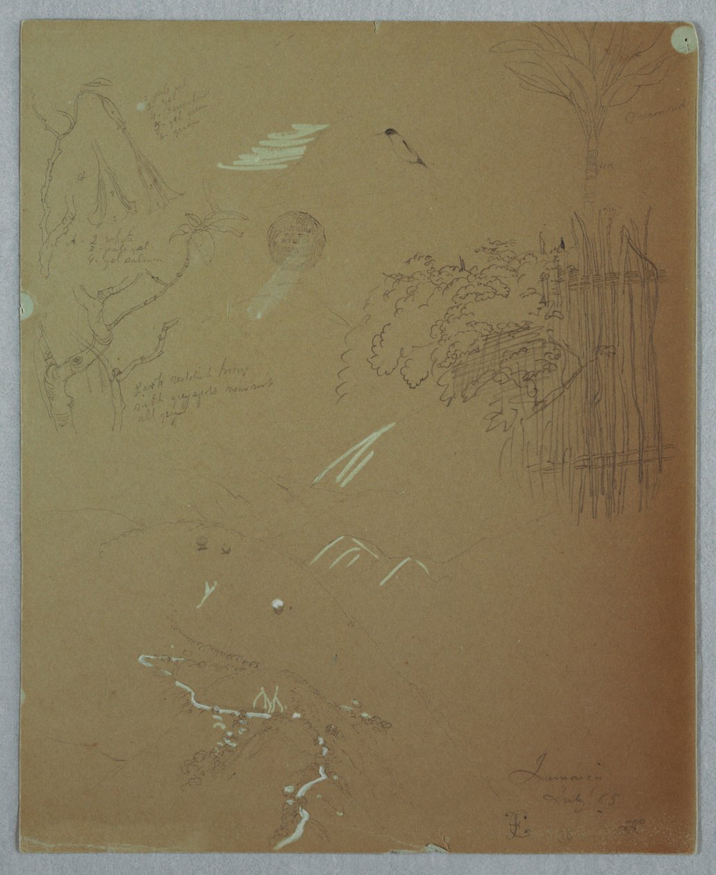 Nature Studies, Blue Mountains, Jamaika tekijältä Frederic Edwin Church