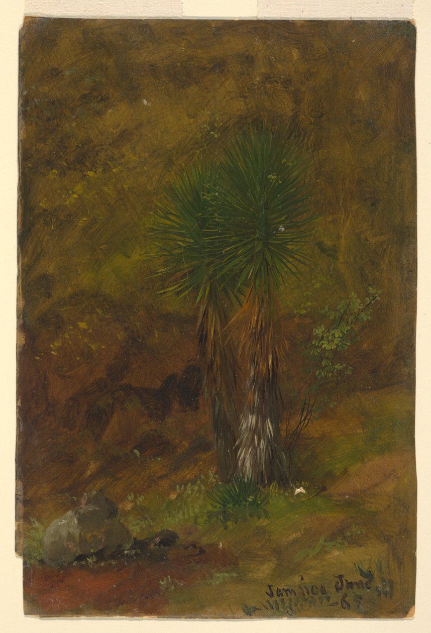 Palmut, Jamaika tekijältä Frederic Edwin Church