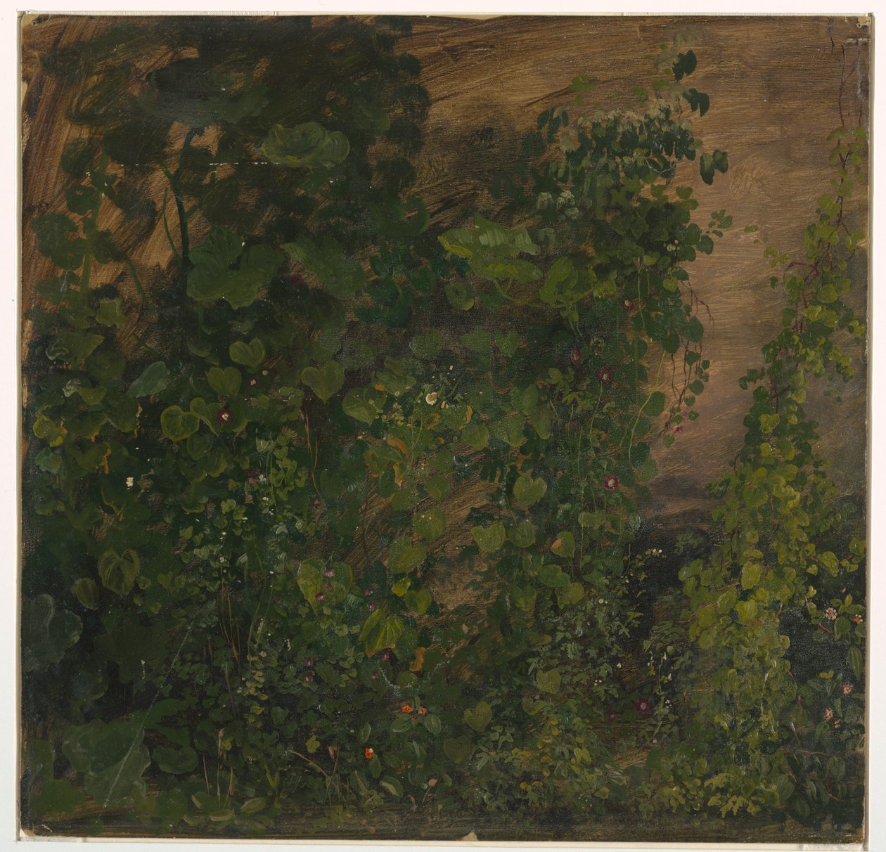 Philodendron Vines, Jamaika tekijältä Frederic Edwin Church