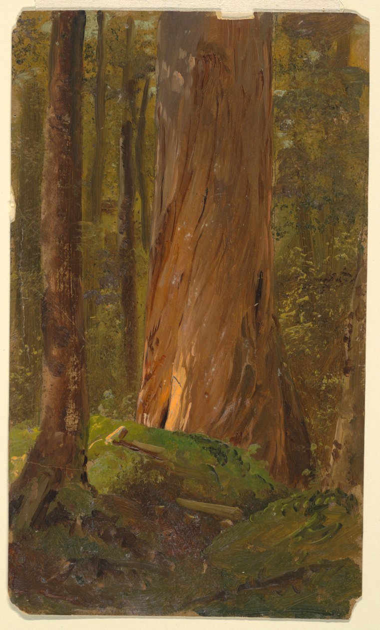 Opiskelu Maine Woodsissa tekijältä Frederic Edwin Church