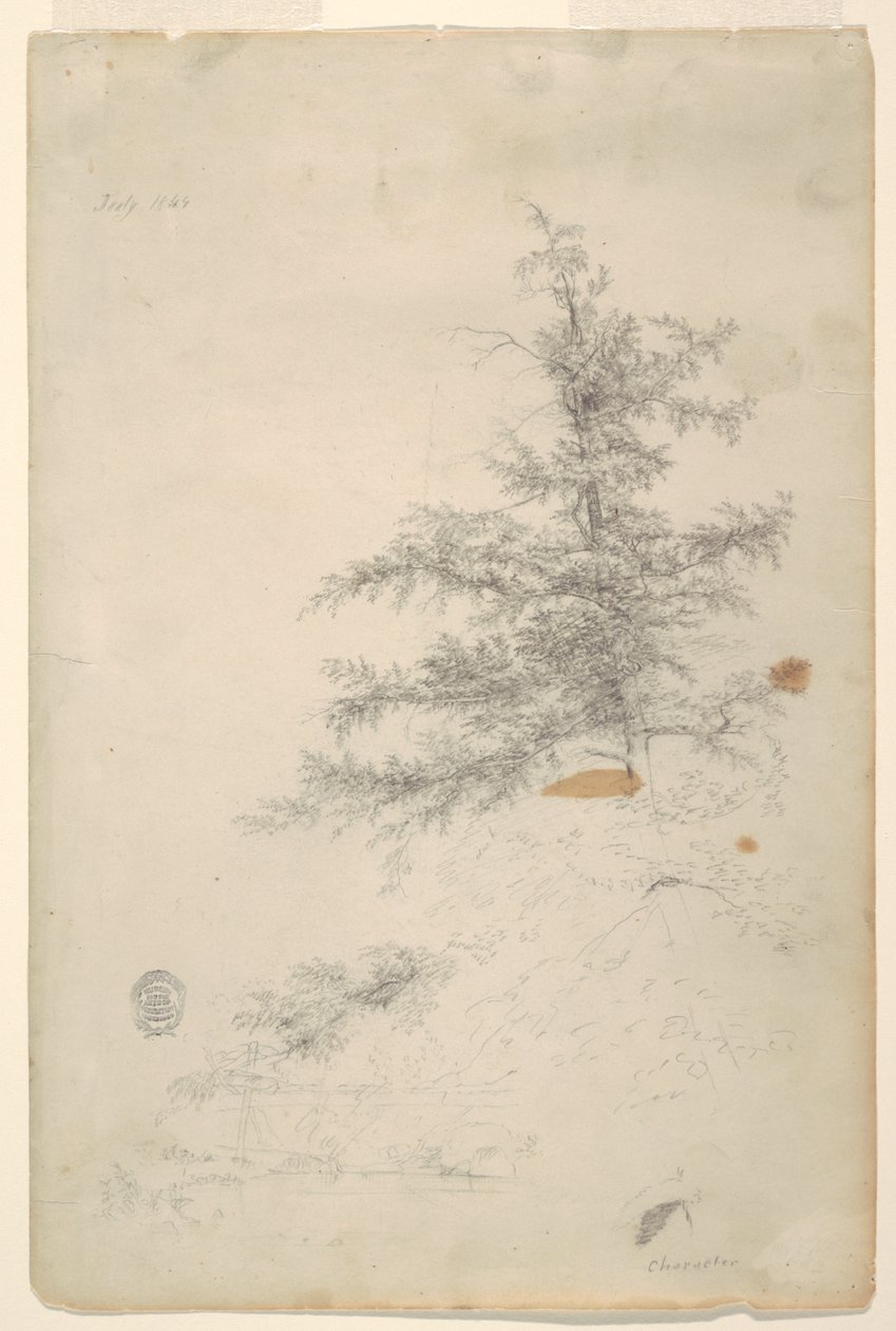 Puu, virta tekijältä Frederic Edwin Church