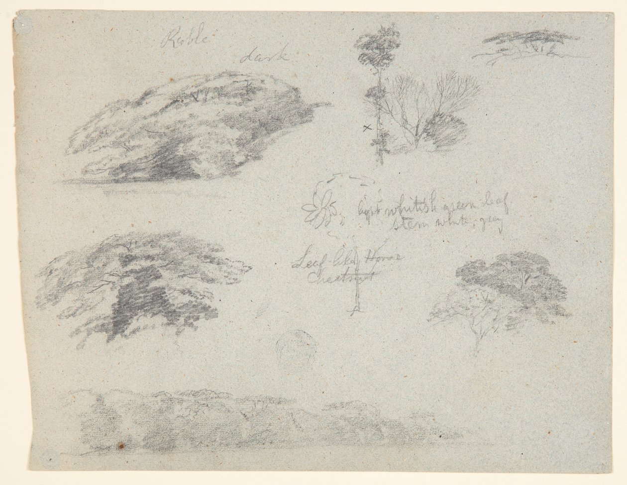 Puut, latvat ja metsäinen pankki, Saddleback, Maine tekijältä Frederic Edwin Church