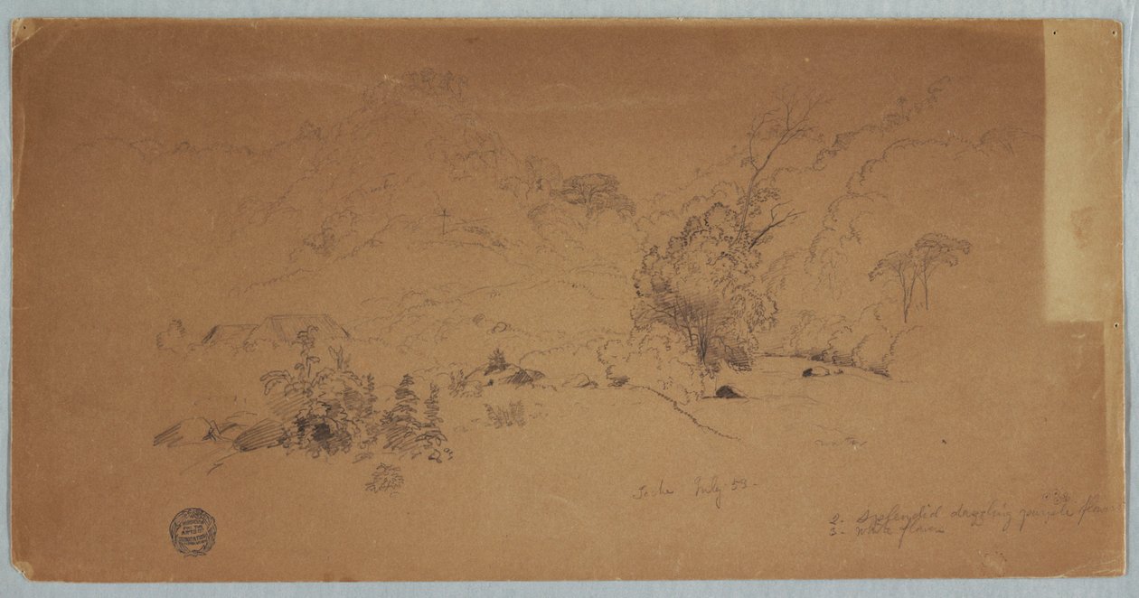 Näkymä Tochelle, Kolumbialle tekijältä Frederic Edwin Church